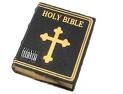 game pic for Holy bible New International Version